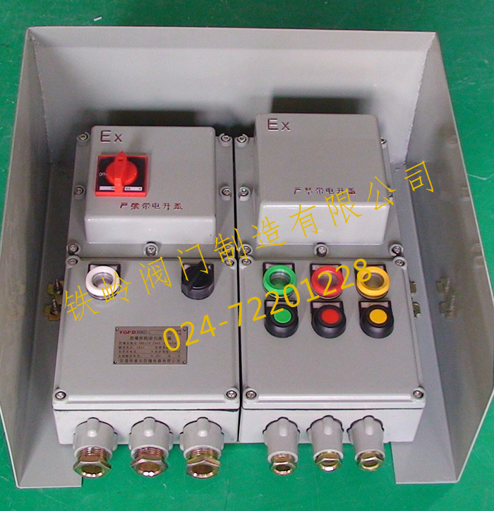 閥門(mén)電氣控制箱（防爆）